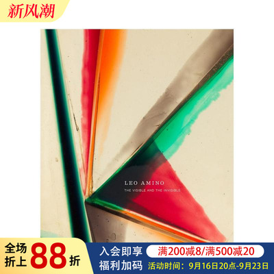 【现货】日裔美国艺术家Leo amino：可见与不可见 Leo amino: The Visible and the Invisible 原版英文艺术画册画集