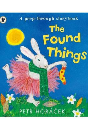 【预售】丢失的袜子（平装） 英国插画师Petr Horacek The Found Things 原版英文儿童绘本图书