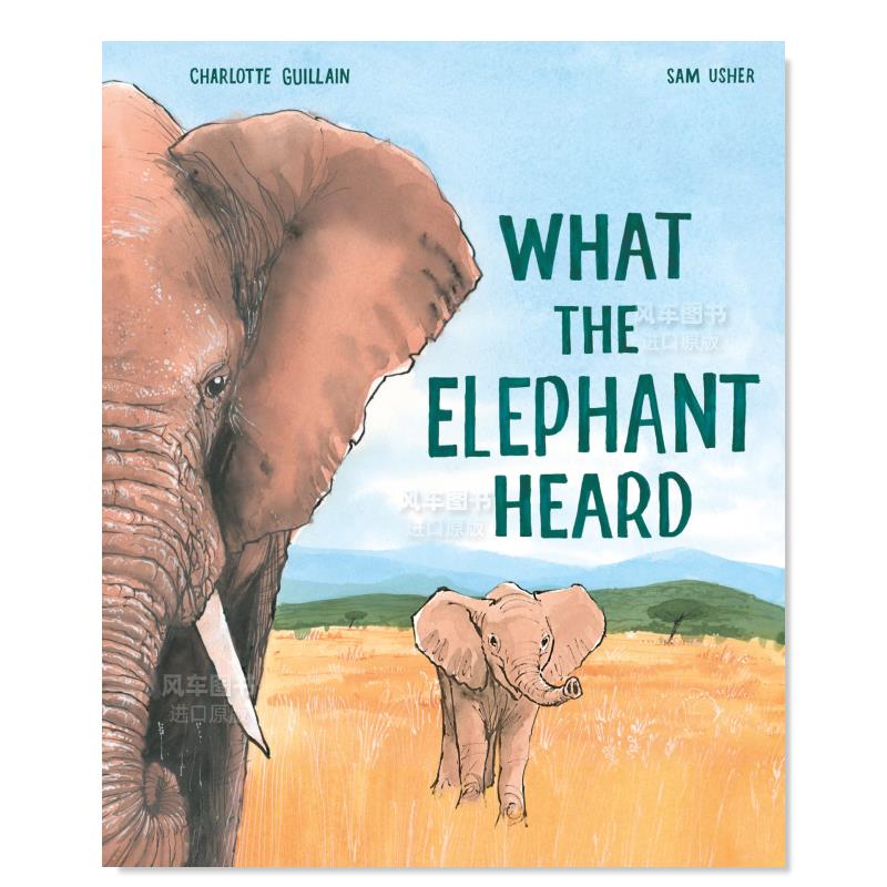 大象听到了什么？WhattheEle