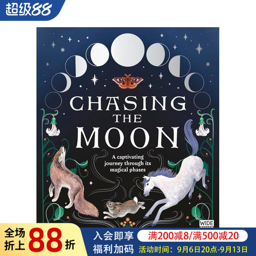 逐月：穿越月相奇境的迷人旅程C