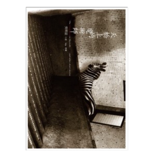 天桥上的魔术师 吴明益 台版短篇小说繁体中文原版图书 华文创作文学 夏日出版可单拍