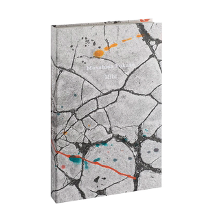 【现货】深濑昌久：Hibi 日本摄影大师Masahisa Fukase私摄影画册 英文原版进口MACK出版书籍