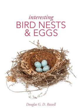 【预售】有趣的鸟巢和鸟蛋 Interesting Bird Nests and Eggs 英文原版鸟蛋收藏画像摄影集 Douglas Russell 伦敦自然历史博物馆