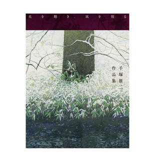 听光看风 日文绘画艺术画册画集 现货 原版 風を視る 手塚雄二作品集 手冢雄二作品集 光を聴き