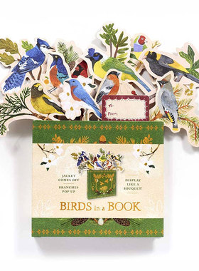书中鸟翻翻立体书 Birds in a Book(A Bouquet in a Book) Lesley Earle艺术插画 英文原版创意书型花盆礼品节日礼物书籍可单拍