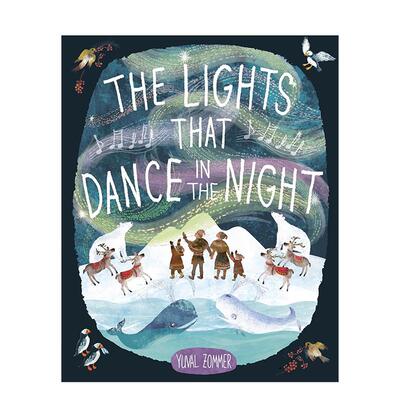 【现货】夜幕中舞动的光 Yuval Zommer The Lights That Dance in the Night 原版英文儿童绘本图书书籍