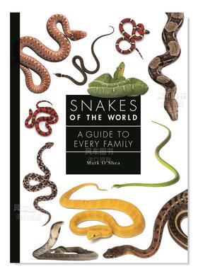 【预售】有关世界上蛇的指南 Snakes of the World: A Guide to Every Family英文社会科学 原版图书进口外版书籍 Mark O’Shea