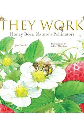 【现货】他们的工作：蜜蜂 大自然的授粉者 They Work:Honey Bees  Nature's Pollinators 原版英文儿童绘本 进口图书