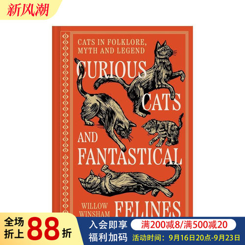 好奇的猫咪与奇幻的猫科动物 C