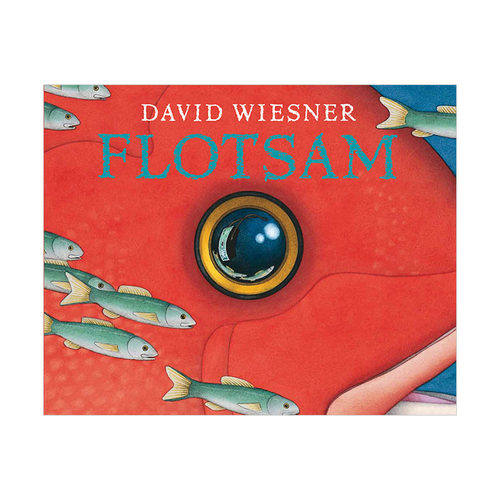 【预售】大卫·威斯纳凯迪克大奖David Wiesner作品 絮状物 Flotsam 儿童知识科学启蒙海边故事绘本读物 英文原版 进口图书书籍