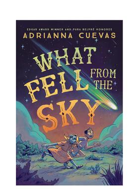 【预售】从天而降之物 What Fell from the Sky 英文原版儿童章节书少儿英语启蒙读物书籍7-10岁