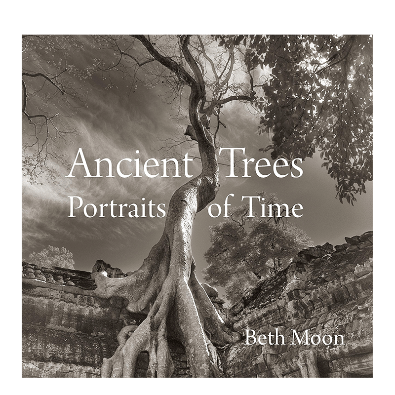 【现货】Ancient Trees 古树:时间的写照 Beth Moon植物摄影集 英文原版书籍进口