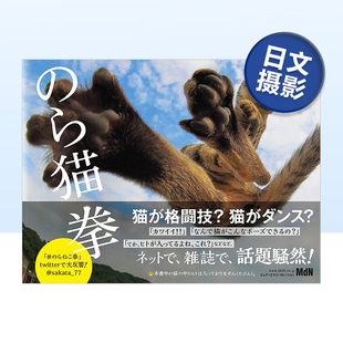 宠物摄影集书籍进口 野良猫拳趣味写真手册 预售 野猫拳 猫咪摄影集 猫 日文原版 ら猫拳 格斗技
