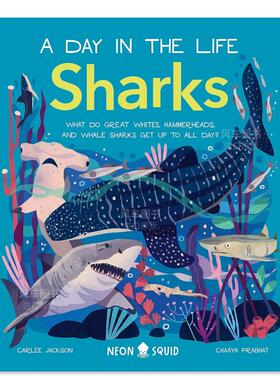 【预售】【动物的一天】鲨鱼 【A Day in the Life】Sharks英文儿童绘本原版图书外版进口书籍Jackson, Carlee