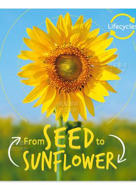 【预售】【生命周期】从种子到葵花 【Lifecycles】Seed to Sunflower英文儿童绘本 原版图书进口外版书籍 Camilla de la Bedoyer