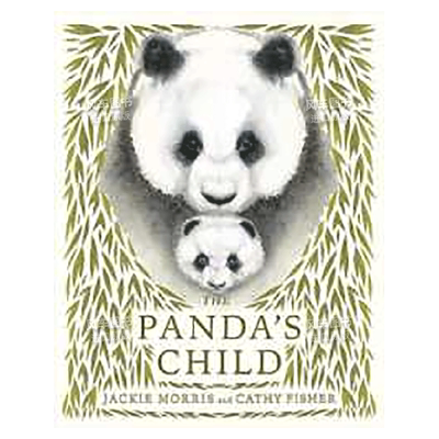 熊猫宝ThePanda'sChild英文儿