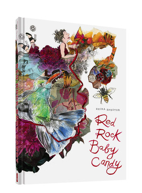 【现货】Red Rock Baby Candy 独特视觉构图色彩独立漫画家Shira Spector书籍进口原版