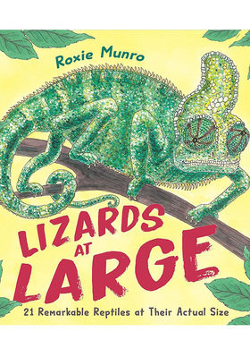 【预售】逍遥法外的蜥蜴：21种实际大小的非凡爬行动物 Lizards at Large 原版英文儿童绘本
