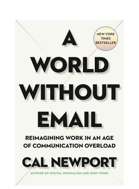 【现货】没有邮件的世界 A World Without Email 原版英文商业行销图书书籍