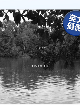【预售】达沃德·贝:挽歌 Dawoud Bey: Elegy 英文摄影集摄影师专辑原版图书外版进口书籍 Dawoud Bey