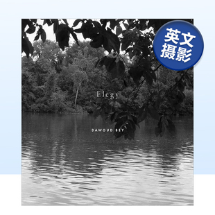 挽歌 Dawoud 图书外版 预售 进口书籍 英文摄影集摄影师专辑原版 达沃德·贝 Elegy Bey