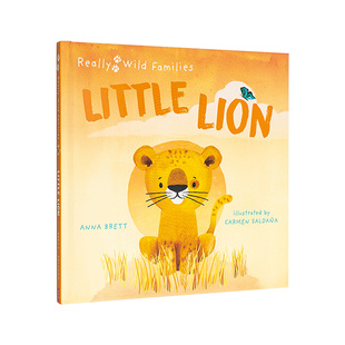 Cub 现货 Day Lion 一天 英文原版 进口外版 Life Little 小狮子：小狮子 图书 the