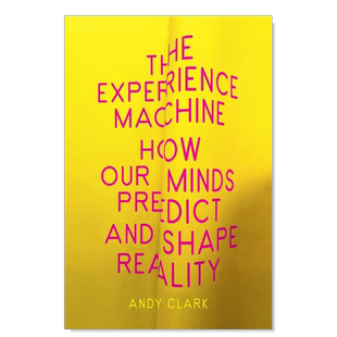 【现货】体验机器:我们的思想如何预测和塑造现实 The Experience Machine: How Our Minds Predict and Shape Reality英文社会科