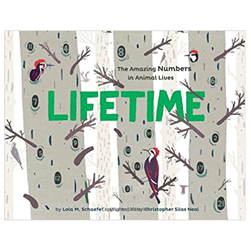 【预售】Lifetime: The Amazing Numbers in Animal Lives寿命 英文儿童绘本适合3-6岁原版进口图书书籍 - 实物图