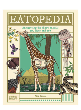 【现货】动物进食与消化大百科 博洛尼亚童书奖得主Aina Bestard Eatopedia 英文原版儿童知识科普百科绘本7-9岁进口英语启蒙图书