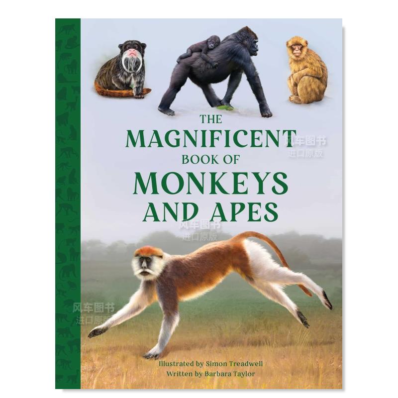 猿猴大书TheMagnificentBook
