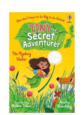【预售】秘密探险家泰尼：神秘访客 Tiny the Secret Adventurer: The Mystery Visitor 原版英文儿童章节书 进口图书