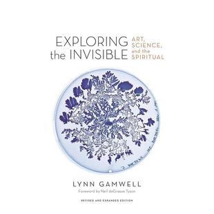 【现货】探索无形：艺术、科学和精神（修订扩展版） Exploring the Invisible 原版英文艺术画册画集图书