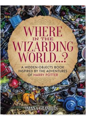 【预售】魔法世界的某处 Where in the Wizarding World...? 英文青少年读物原版图书外版进口书籍Media Lab Books Grashuis, Ima