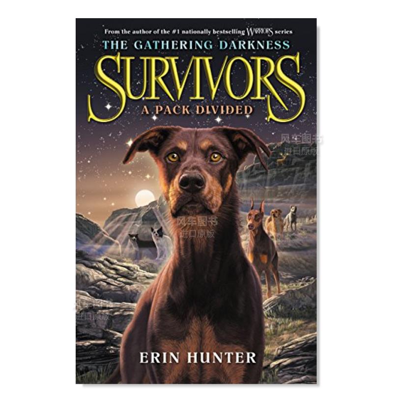 幸存者聚集的黑暗1一个族群分