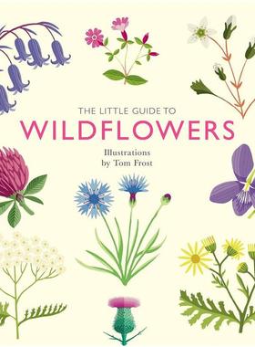 【预售】【袖珍插画指南】野花 【Little Guides】Wildflowers  原版英文艺术插画原画设定集图书