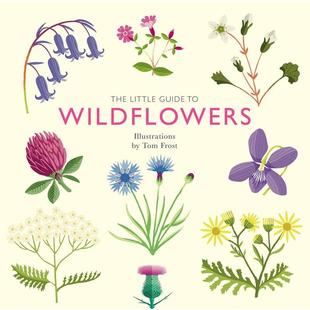 【预售】【袖珍插画指南】野花 【Little Guides】Wildflowers 原版英文艺术插画原画设定集图书