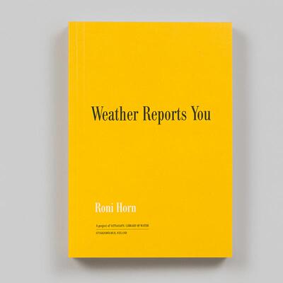 【预售】罗尼·霍恩：天气预报 Roni Horn: Weather Reports You 原版英文摄影作品集图书