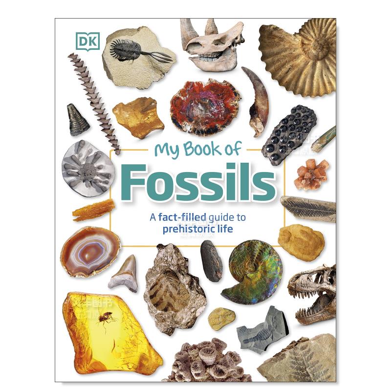 我的化石之书MyBookofFossi