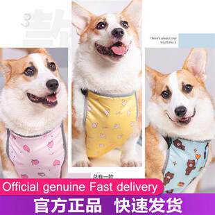 cool war tummy Corkys belly clothes The keep dogs