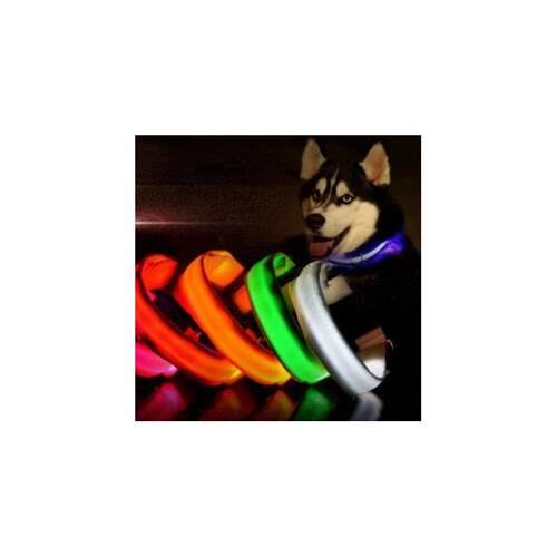Nylon LED Dog Night Safety Pet Collar Flashing Light Up Pend