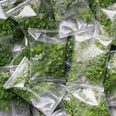 冻干薄荷叶新鲜干茶叶食用泡茶泡水喝特夏天日级清凉小包装 薄荷茶