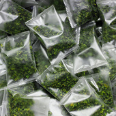 霜打后桑叶干茶秋后桑树叶子手工压嫩特新鲜中药材降泡级小袋保鲜