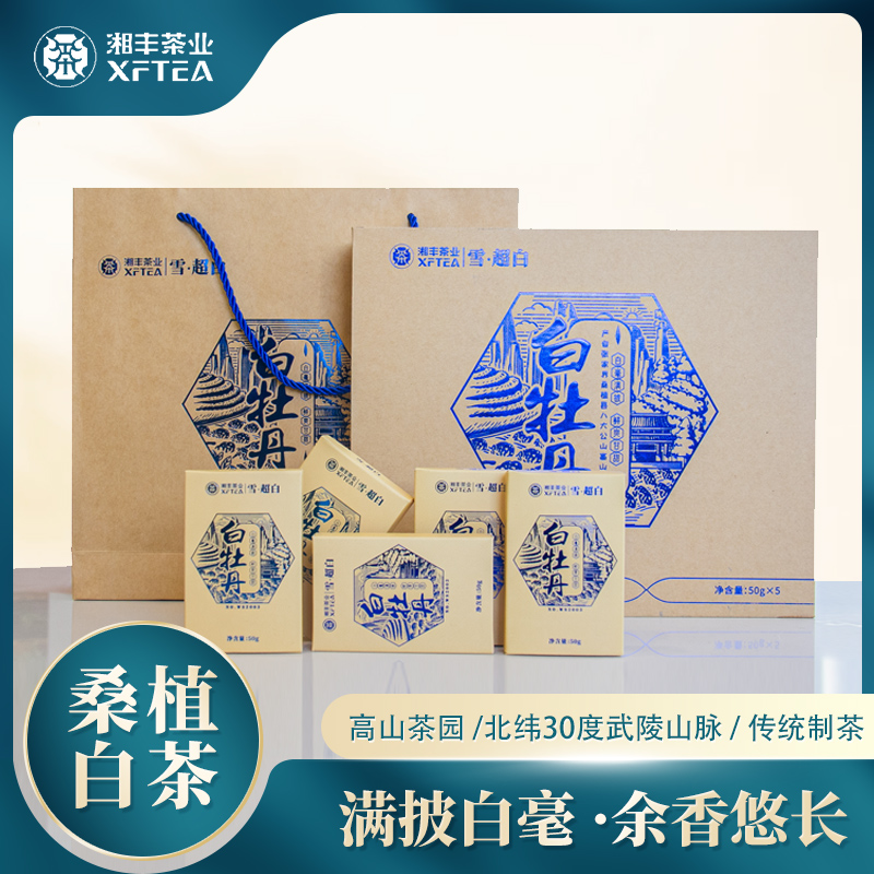 湖南张家界特产桑植白茶雪超白白牡丹方块砖茶白茶礼盒装高山茶叶