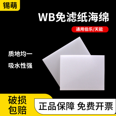 Wb免滤纸转膜海绵湿转衬垫