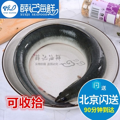 750克鲜活河鳗北京闪送