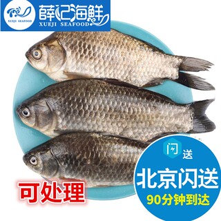 500g 1-2条/斤 北京闪送 水库鲫鱼孕妇煲汤鲜活活鱼水库鱼 可处理