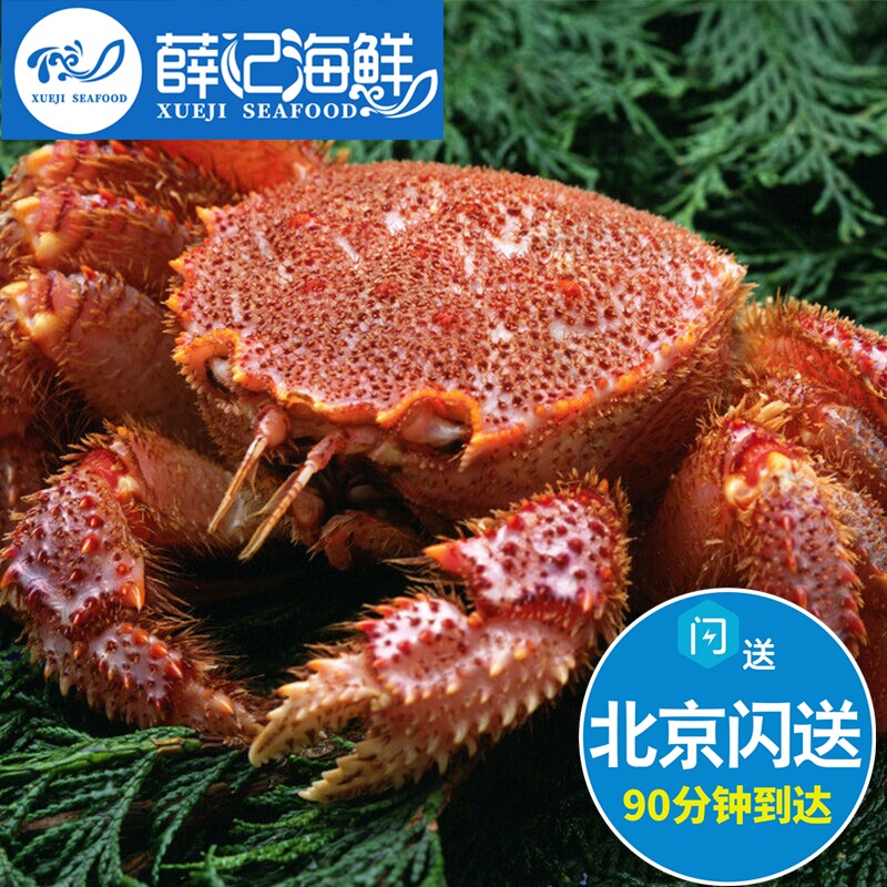 北京闪送 鲜活大红毛蟹 俄罗斯进口 海鲜日料食材水产