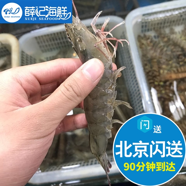 500g 北京闪送 鲜活海白虾 海鲜水产 活虾 明虾 对虾 非基围虾 水产肉类/新鲜蔬果/熟食 活虾 原图主图