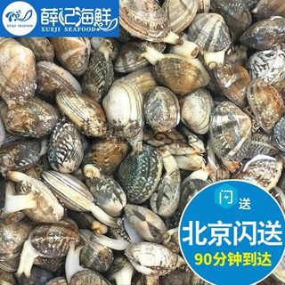 500g 北京闪送 新鲜花甲 海鲜鲜活 花蛤 蛤蜊 花蚬子 贝类 水产