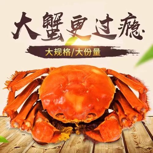 单只母3.3-3.5两 北京闪送 现货鲜活大闸蟹 大螃蟹 满黄